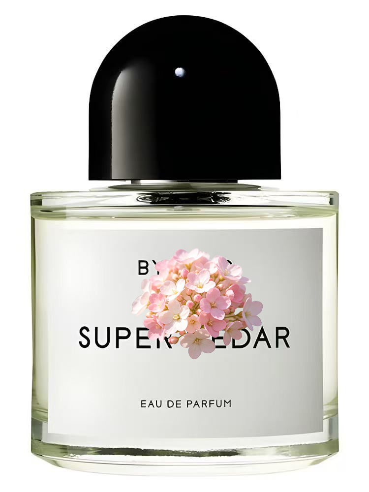 Unisex Eau de Parfum 100ml 3.4 - Amber Musk Oil review and price