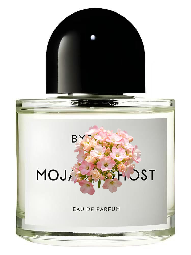 Unisex Eau de Parfum 100ml 3.4 - Amber Musk Oil review and price